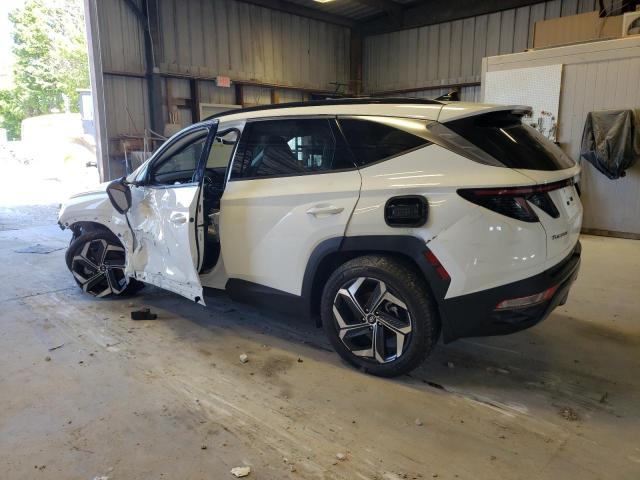 2023 HYUNDAI TUCSON LIM - 5NMJECAE3PH223533