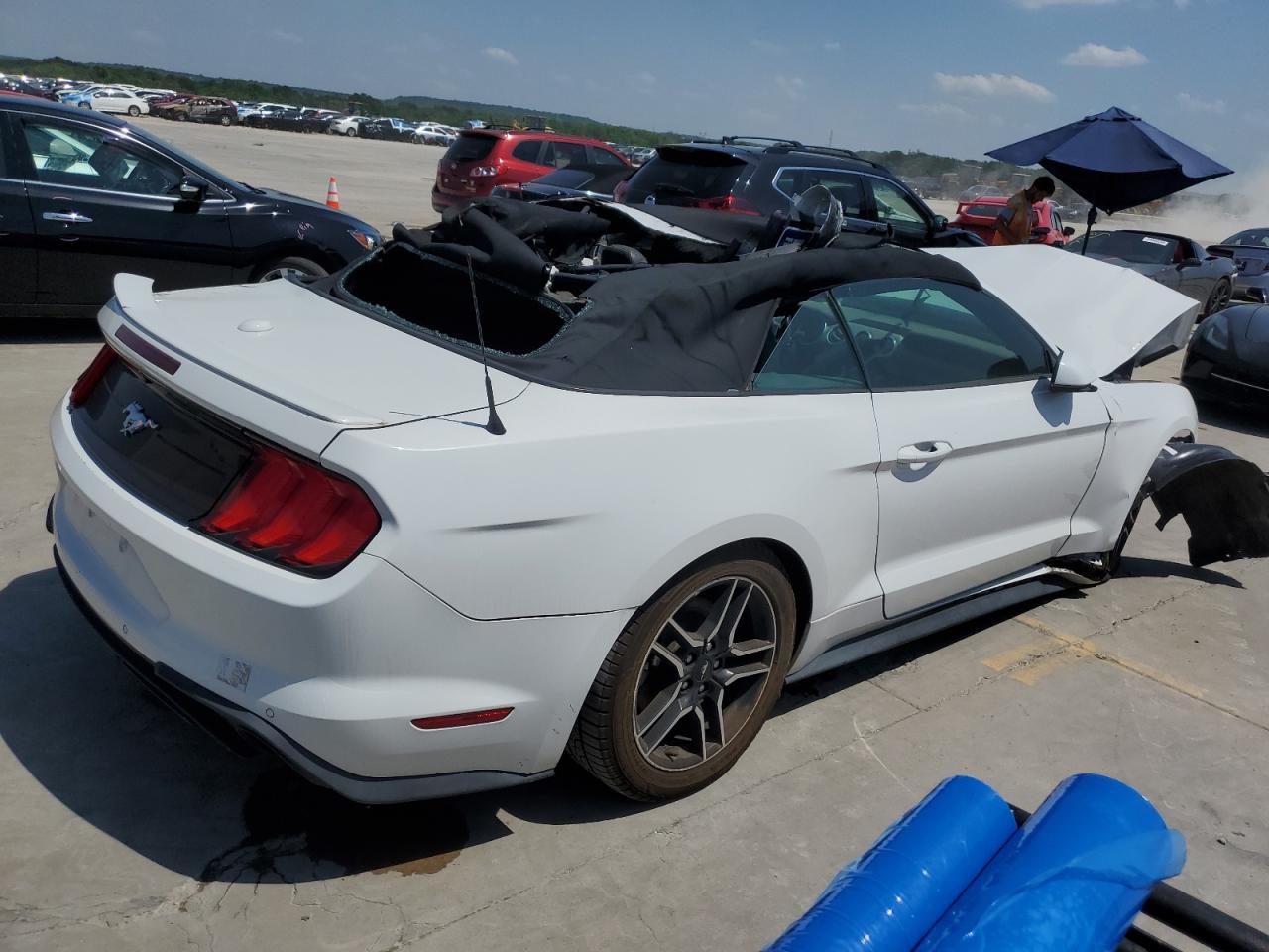 2019 Ford Mustang vin: 1FATP8UH0K5131500