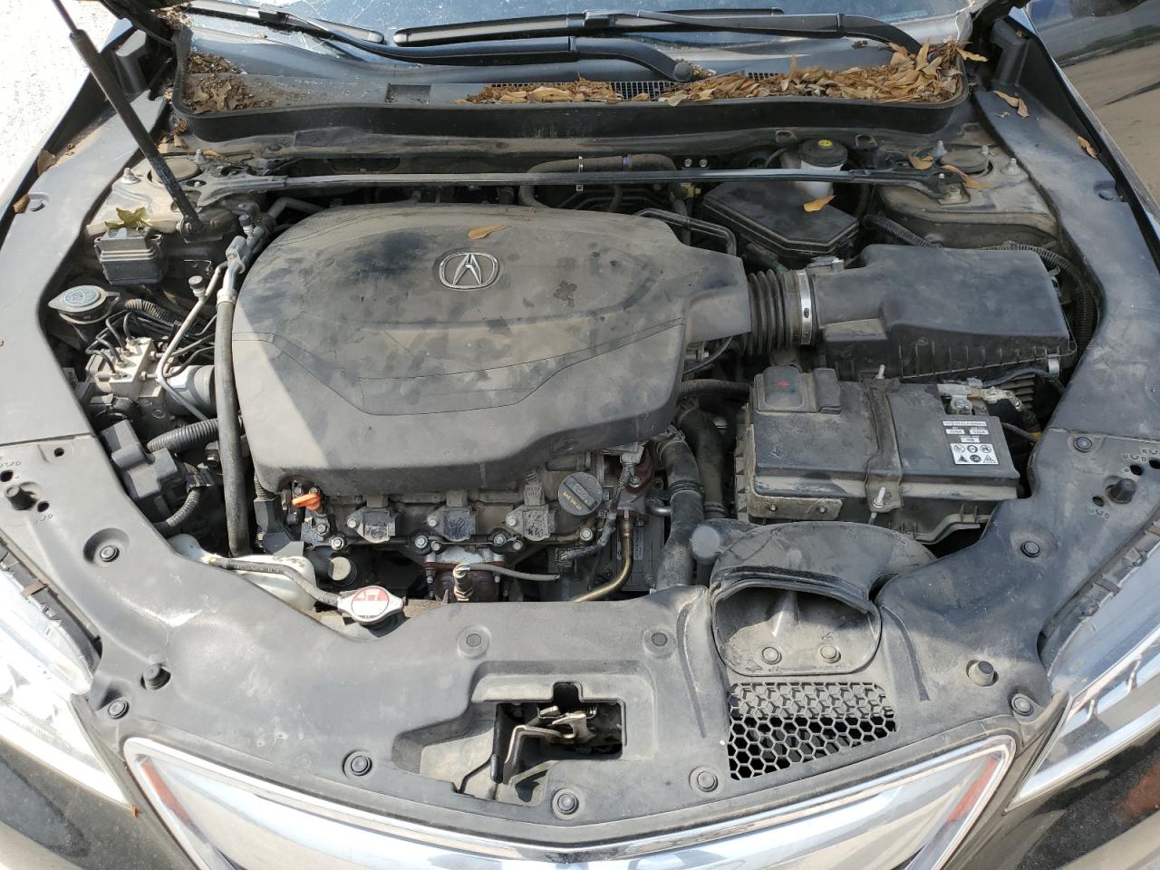 19UUB2F37FA024566 2015 Acura Tlx