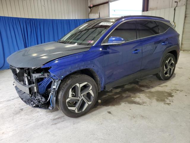 2024 Hyundai Tucson Limited VIN: 5NMJECDE9RH303014 Lot: 52524394