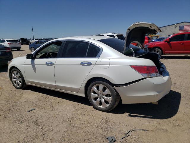 2010 Honda Accord Exl VIN: 1HGCP3F82AA024854 Lot: 53956734