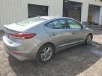 HYUNDAI ELANTRA SE photo