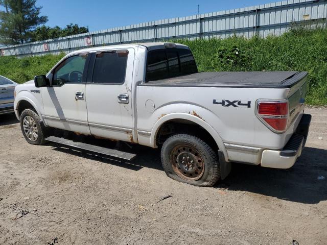 2010 Ford F150 Supercrew VIN: 1FTFW1EV9AFB02589 Lot: 57123584