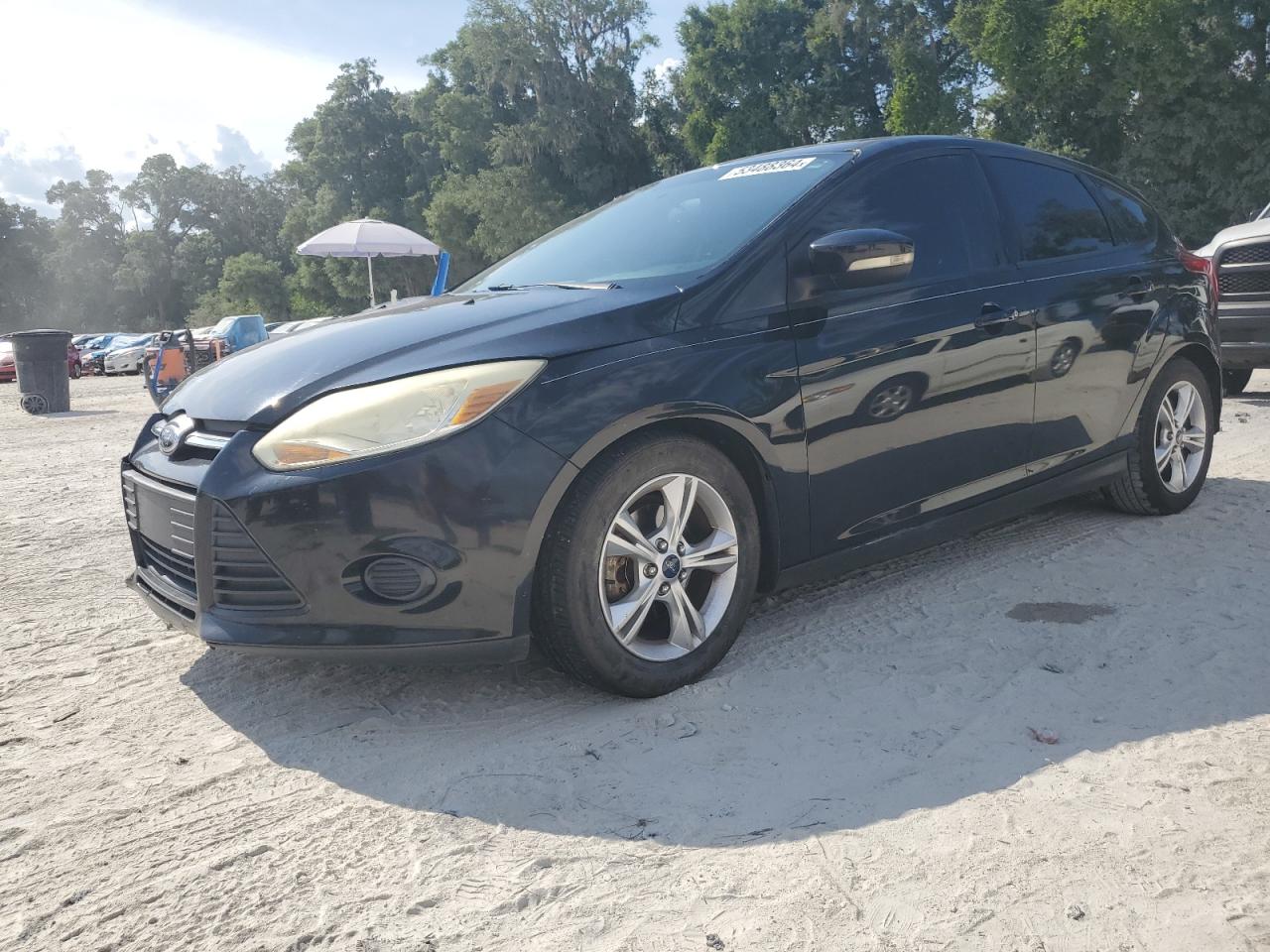 2014 Ford Focus Se vin: 1FADP3K29EL360215