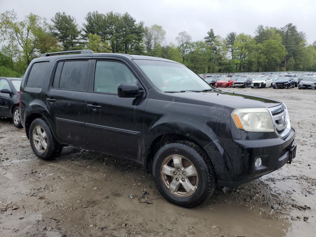 5FNYF4H46BB051331 2011 Honda Pilot Ex