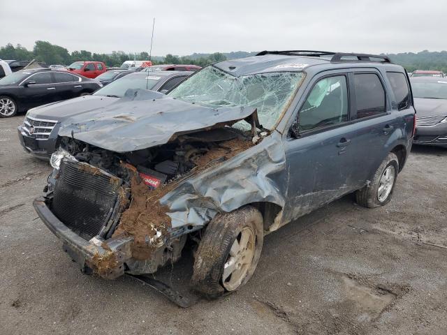 Vin: 1fmcu0d73ckb94150, lot: 55019644, ford escape xlt 2012 img_1