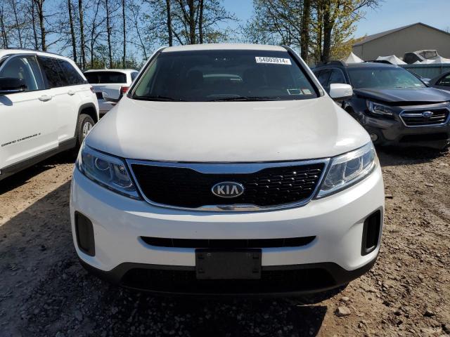 2014 Kia Sorento Lx VIN: 5XYKTCA66EG464075 Lot: 54003914