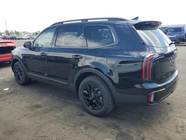 2024 Kia Telluride Sx VIN: 5XYP5DGC7RG445821 Lot: 55848364