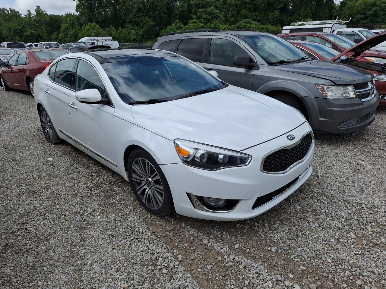 KNALN4D74E5135292 2014 Kia Cadenza Premium