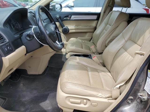 2010 Honda Cr-V Exl VIN: 5J6RE4H71AL041619 Lot: 55455384