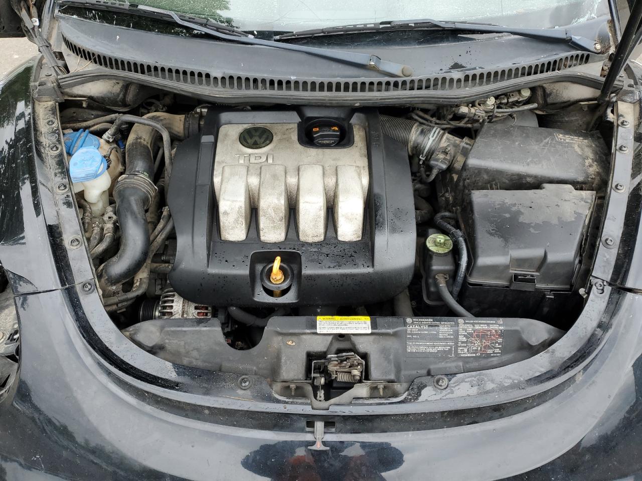 3VWSR31C46M425183 2006 Volkswagen New Beetle Tdi Option Package 2