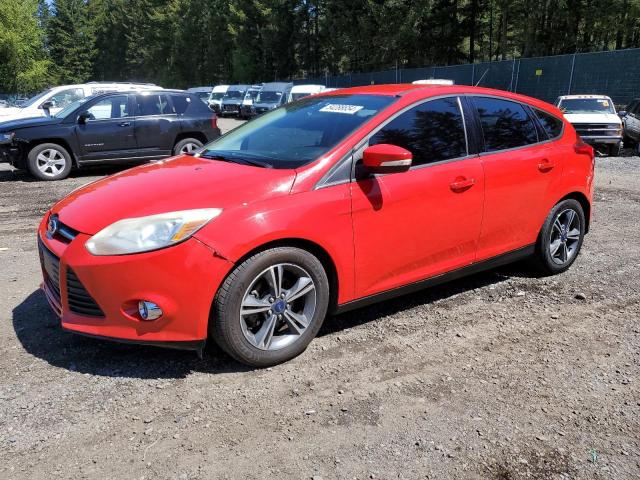 Lot #2533764436 2014 FORD FOCUS SE salvage car