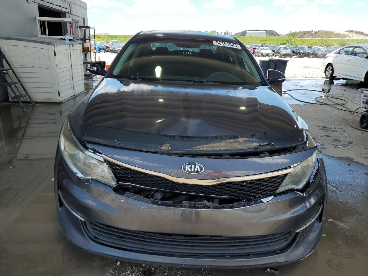 5XXGT4L1XGG007628 2016 Kia Optima Lx