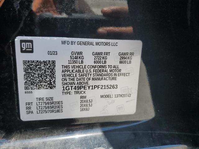 2023 GMC Sierra K2500 At4 VIN: 1GT49PEY1PF215263 Lot: 55841824