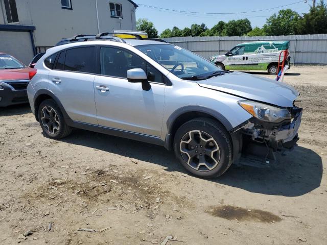 2013 Subaru Xv Crosstrek 2.0 Premium VIN: JF2GPACC8D2896646 Lot: 55406104