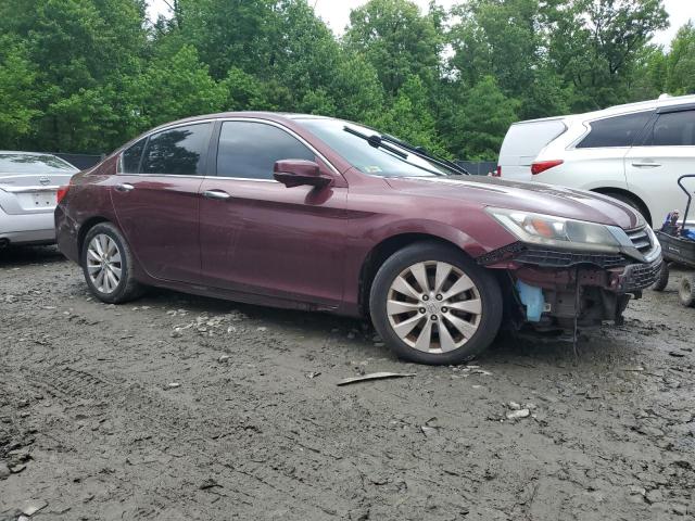 2013 Honda Accord Ex VIN: 1HGCR2F7XDA196145 Lot: 52907444