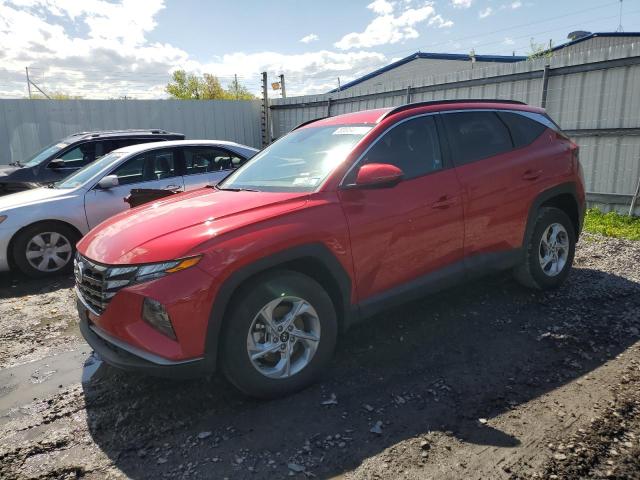 2023 Hyundai Tucson Sel VIN: 5NMJBCAE7PH233331 Lot: 53334994