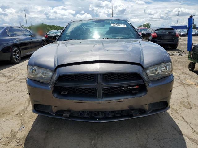 2014 Dodge Charger Police VIN: 2C3CDXAG9EH374684 Lot: 56204374