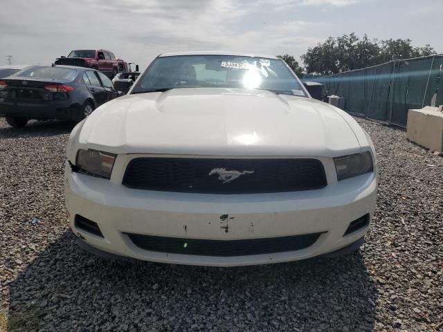 2010 Ford Mustang VIN: 1ZVBP8AN4A5107129 Lot: 55340894