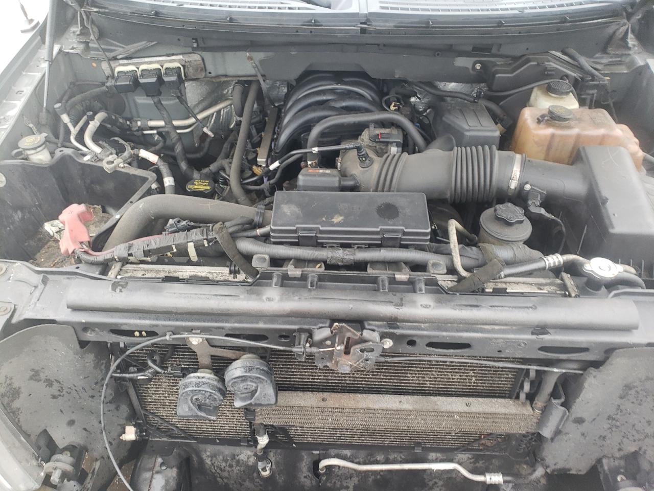 1FTFW1E85AFD59971 2010 Ford F150 Supercrew