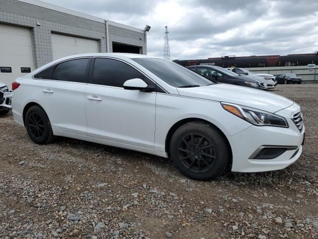 2016 Hyundai Sonata Se VIN: 5NPE24AF5GH300351 Lot: 55285664