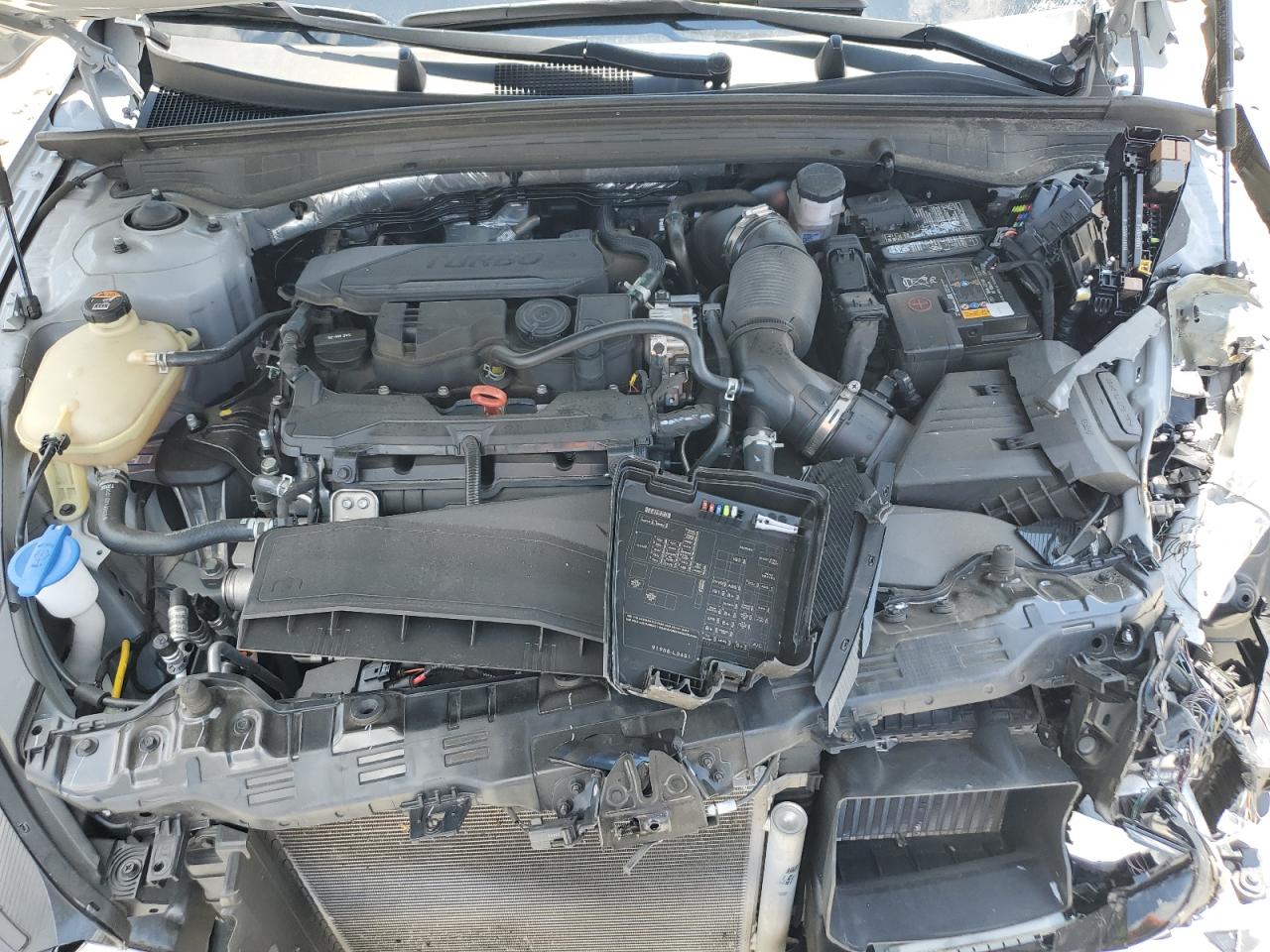 5XXG64J27RG235477 2024 Kia K5 Gt Line