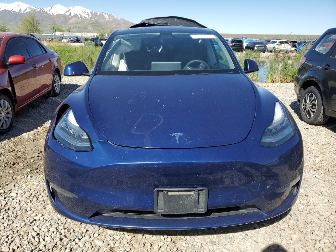 5YJYGDEF8MF081646 2021 Tesla Model Y