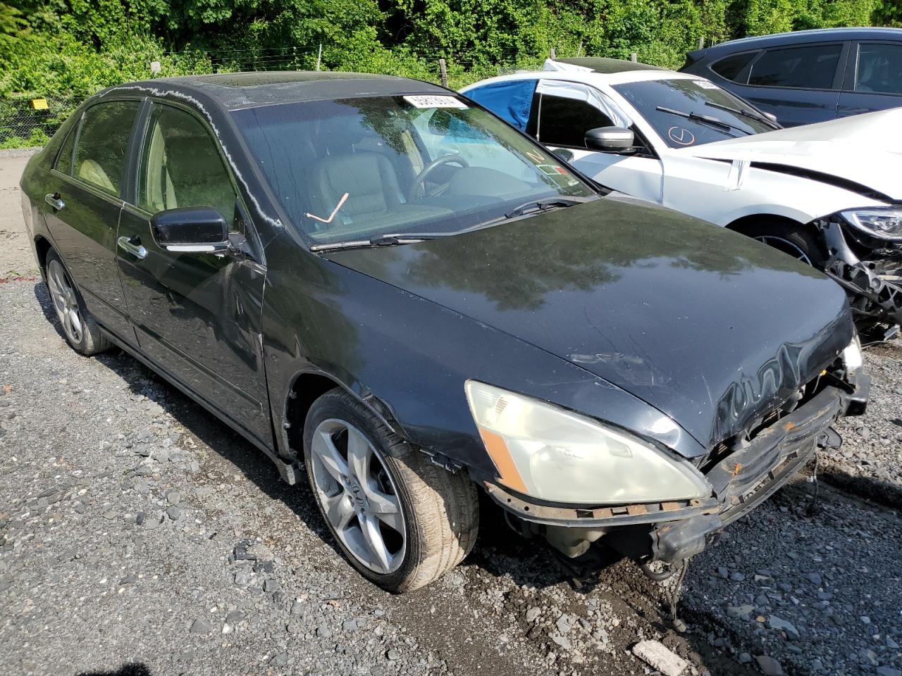 1HGCM66544A071243 2004 Honda Accord Ex