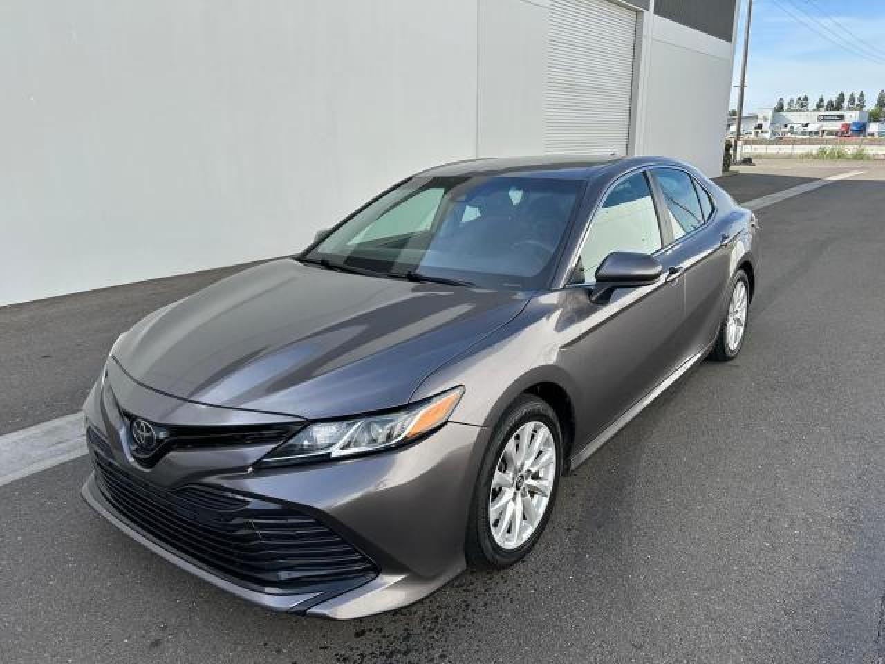 4T1B11HK3KU250602 2019 Toyota Camry L