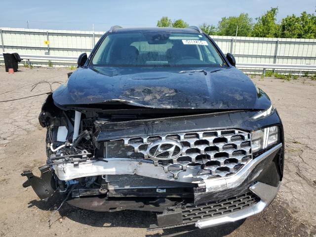 2023 Hyundai Santa Fe Sel Premium VIN: 5NMS3DAJ6PH641176 Lot: 54882384