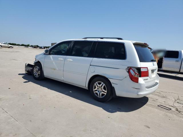 2007 Honda Odyssey Exl VIN: 5FNRL38607B453538 Lot: 54992264