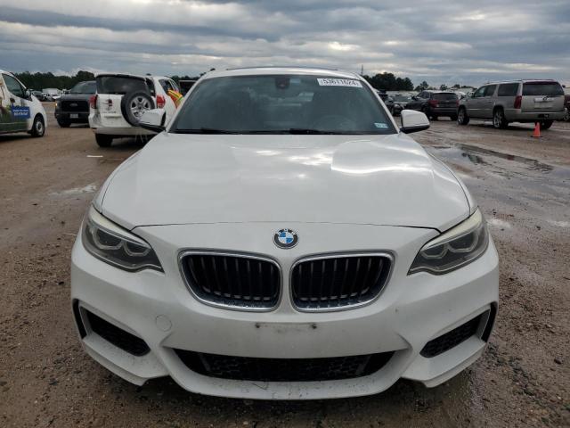 2016 BMW 228 I Sulev VIN: WBA1F9C54GV545014 Lot: 53611624