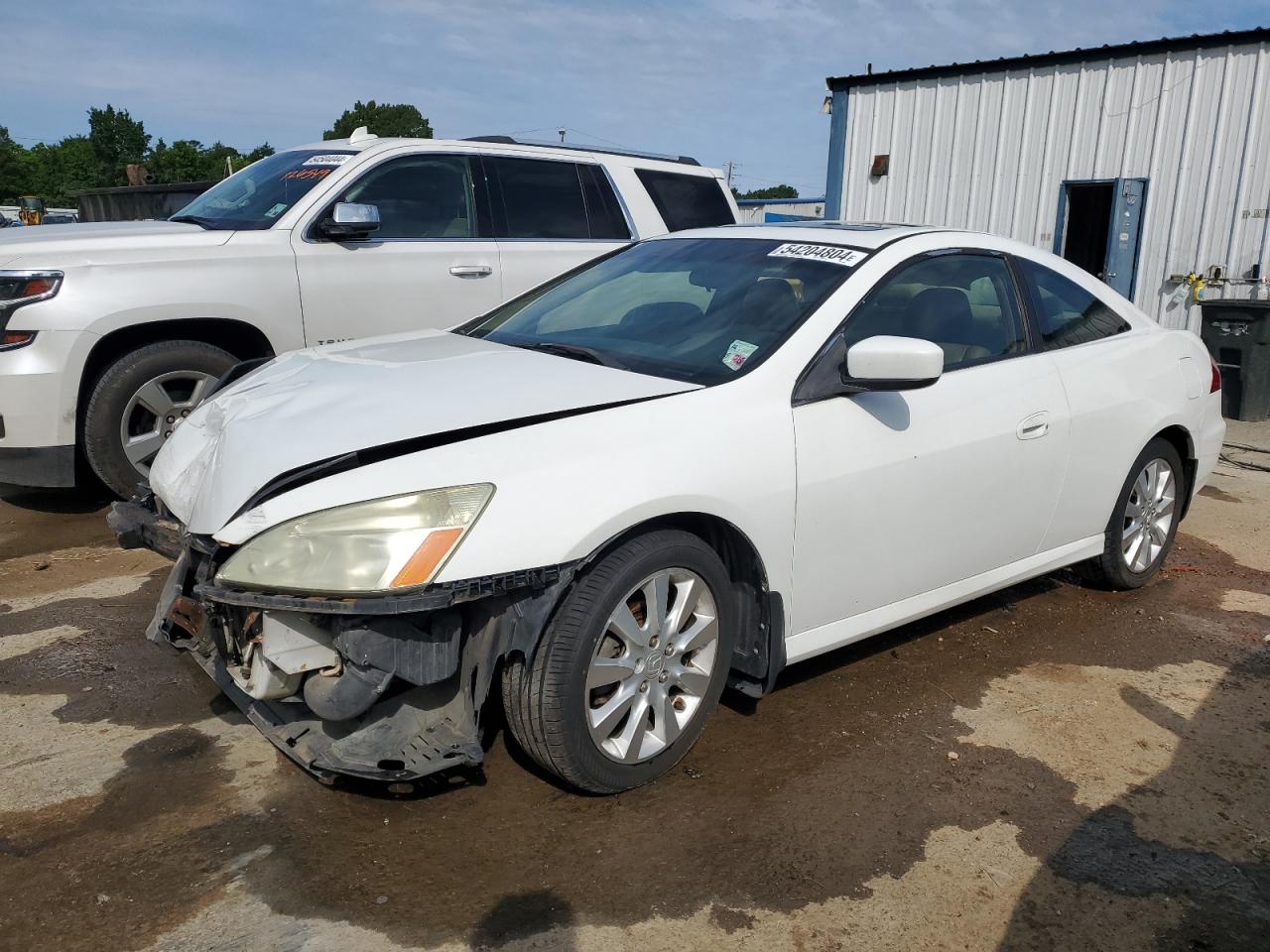 1HGCM82606A010856 2006 Honda Accord Ex