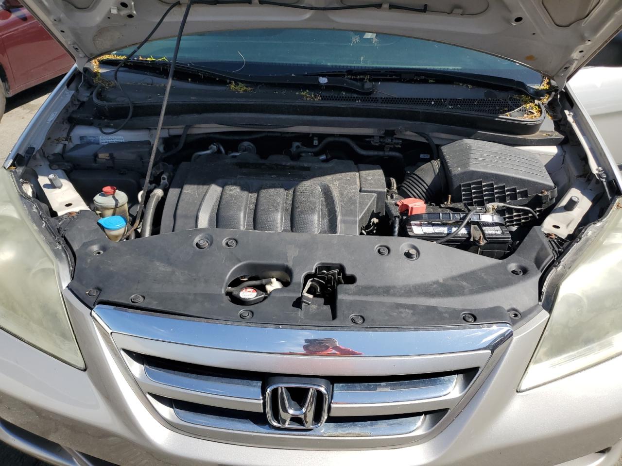 5FNRL38226B081681 2006 Honda Odyssey Lx