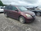 HONDA ODYSSEY EX photo