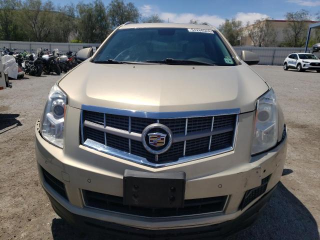 2011 Cadillac Srx Luxury Collection VIN: 3GYFNDEY5BS642902 Lot: 54260524