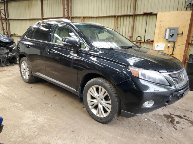 2010 Lexus Rx 450 VIN: JTJBC1BA6A2004097 Lot: 51490074