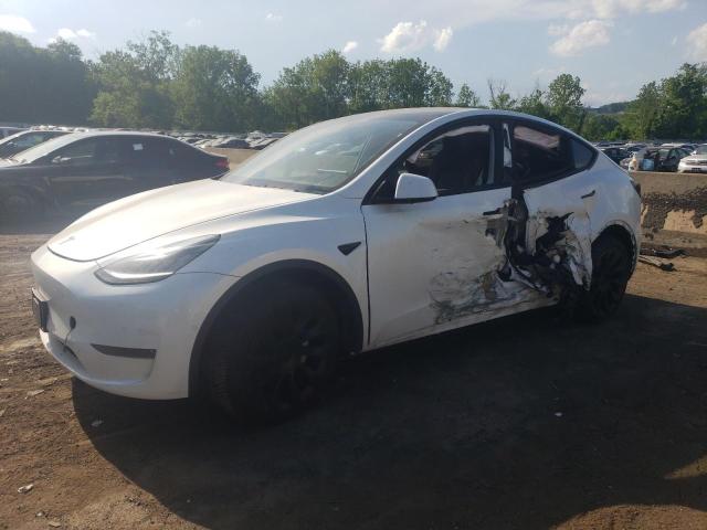 2020 Tesla Model Y VIN: 5YJYGDEE8LF037376 Lot: 56099484