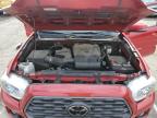 TOYOTA TACOMA DOU photo