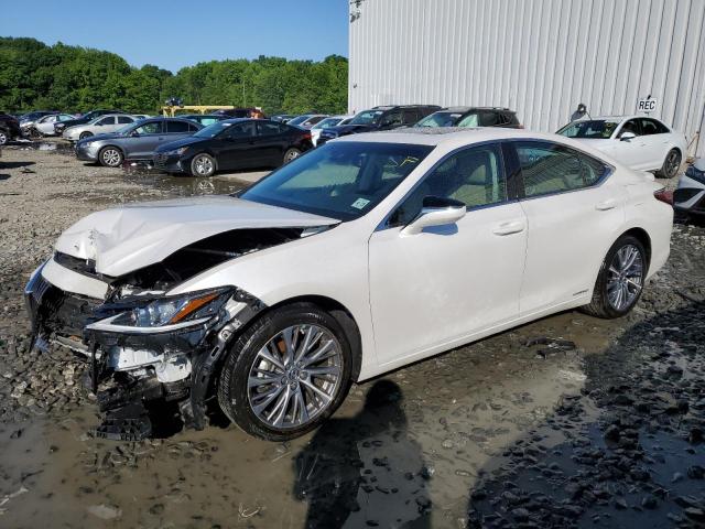 2020 Lexus Es 300H VIN: 58AD21B19LU008929 Lot: 56600174