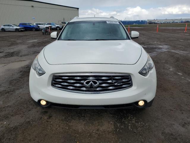 2010 Infiniti Fx50 VIN: JN8BS1MWXAM830443 Lot: 53695194