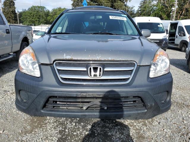 2006 Honda Cr-V Ex VIN: JHLRD78816C056019 Lot: 55491554