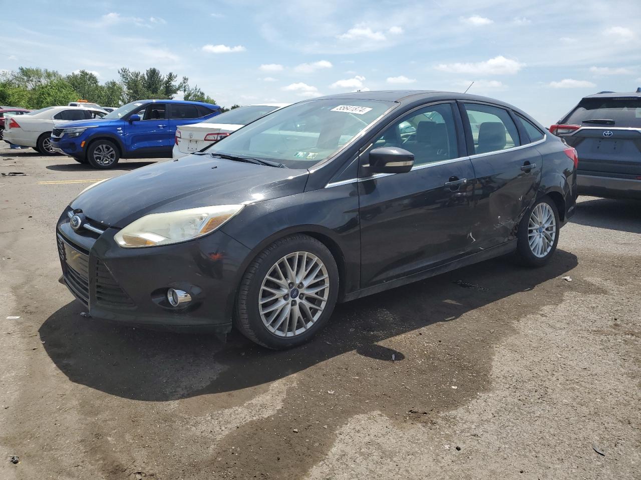 1FAHP3H26CL134249 2012 Ford Focus Sel