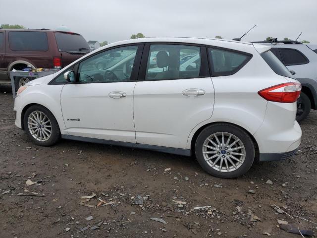 2013 Ford C-Max Se VIN: 1FADP5AU3DL520909 Lot: 53580794