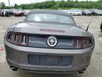 FORD MUSTANG photo