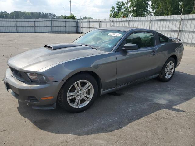 2010 Ford Mustang VIN: 1ZVBP8AN9A5138120 Lot: 56206714