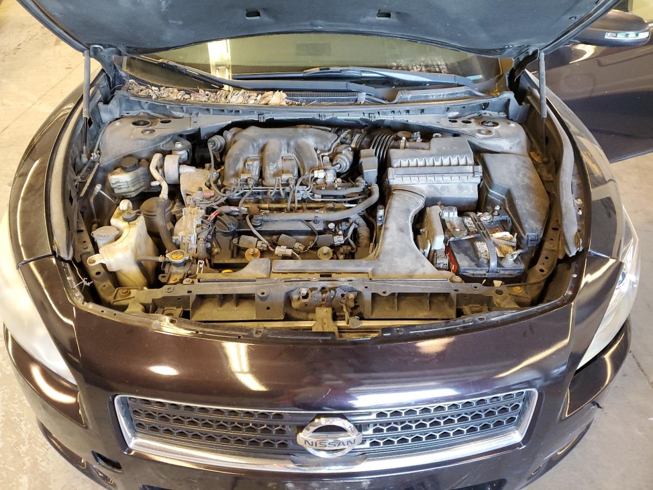 1N4AA5AP0BC809337 2011 Nissan Maxima S