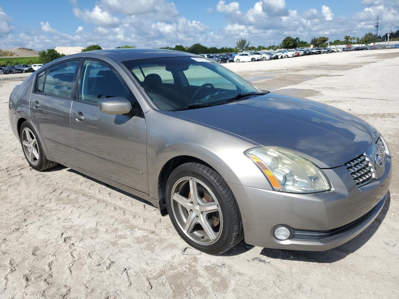 1N4BA41E85C876558 2005 Nissan Maxima Se