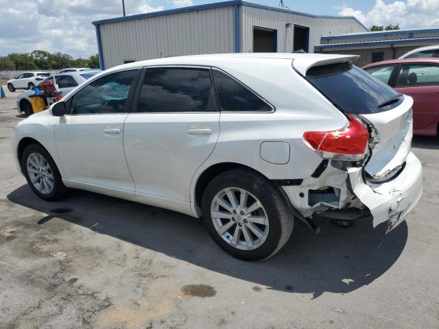 2010 Toyota Venza VIN: 4T3ZA3BB9AU027960 Lot: 53497354