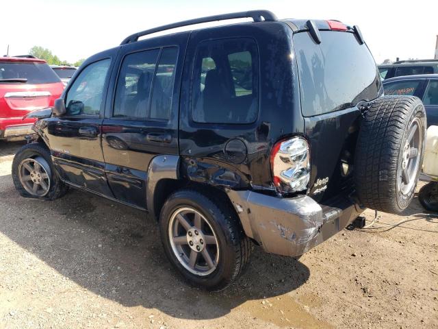 2003 Jeep Liberty Sport VIN: 1J4GL48K13W663785 Lot: 54432874